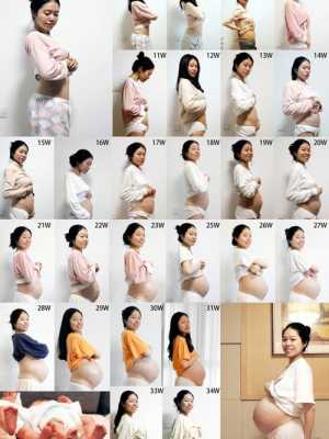 孕期双胞胎肚子变化图(孕期双胞胎肚子变化图片) 第1张 孕期双胞胎肚子变化图(孕期双胞胎肚子变化图片) 第1张