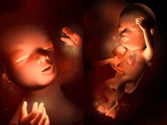 怀孕30周肚子不大怎么回事,三十周胎儿发育图片 第1张 怀孕30周肚子不大怎么回事,三十周胎儿发育图片 第1张