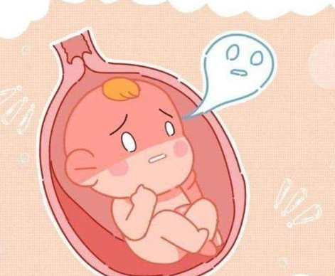 孕早期鼻炎对胎儿影响(孕早期鼻炎对胎儿影响大吗) 第1张 孕早期鼻炎对胎儿影响(孕早期鼻炎对胎儿影响大吗) 第1张