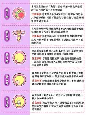 怀孕65天雌二醇多少是正常的,孕65天胎儿发育情况怎么样 第2张 怀孕65天雌二醇多少是正常的,孕65天胎儿发育情况怎么样 第2张
