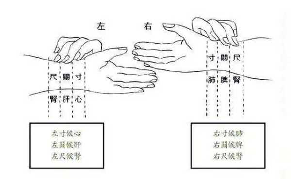 把脉能看出胎儿健康吗(把脉能看出胎儿健康吗) 第1张 把脉能看出胎儿健康吗(把脉能看出胎儿健康吗) 第1张