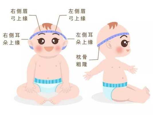 婴儿头围前后径和左右径怎么量,怎样摸胎儿头部位置图片 第1张 婴儿头围前后径和左右径怎么量,怎样摸胎儿头部位置图片 第1张