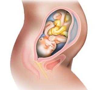 34周宝宝在肚子里的样子,怀孕34周胎儿真实图片欣赏  第2张