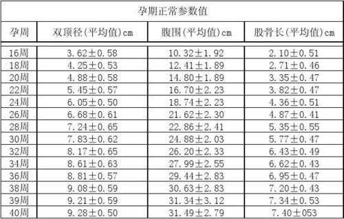 38周胎儿腹围标准(38周胎儿腹围标准在什么范围) 第1张 38周胎儿腹围标准(38周胎儿腹围标准在什么范围) 第1张