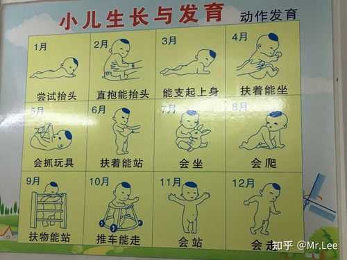 5个月宝宝抬头能多久,孕期五个月宝宝发育标准图片 第1张 5个月宝宝抬头能多久,孕期五个月宝宝发育标准图片 第1张