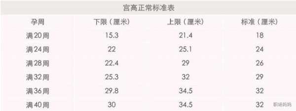 37周胎儿腹围标准值(37周胎儿腹围标准值) 第3张 37周胎儿腹围标准值(37周胎儿腹围标准值) 第3张
