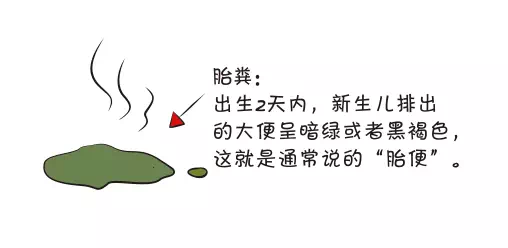 胎儿为什么会吸入胎粪(胎儿为什么会吸入胎粪) 第2张 胎儿为什么会吸入胎粪(胎儿为什么会吸入胎粪) 第2张