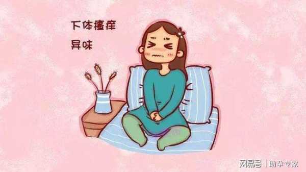 怀孕期间外阴骚痒怎么办 第3张 怀孕期间外阴骚痒怎么办 第3张