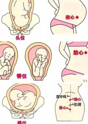 胎儿在肚脐眼周围动(胎儿在肚脐眼周围动是什么胎位) 第1张 胎儿在肚脐眼周围动(胎儿在肚脐眼周围动是什么胎位) 第1张