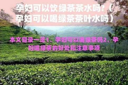 孕期绿茶(孕期绿茶可以喝吗) 第1张 孕期绿茶(孕期绿茶可以喝吗) 第1张