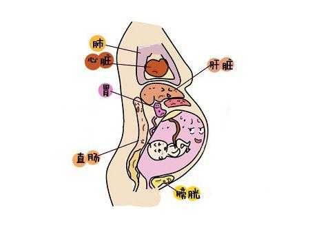 孕期活动(孕期活动少对胎儿的影响) 第2张 孕期活动(孕期活动少对胎儿的影响) 第2张