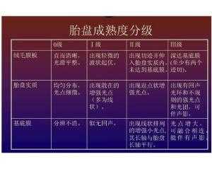 孕期胎盘(胎盘怎么分级) 第2张 孕期胎盘(胎盘怎么分级) 第2张