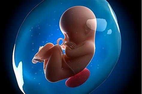 怀孕五个多月胎儿有多重(怀孕五个多月胎儿有多重正常) 第1张 怀孕五个多月胎儿有多重(怀孕五个多月胎儿有多重正常) 第1张