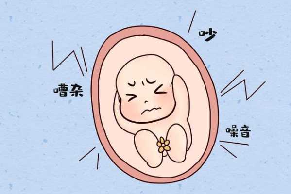 孕期影响(噪音对胎儿有多大的影响) 第3张 孕期影响(噪音对胎儿有多大的影响) 第3张