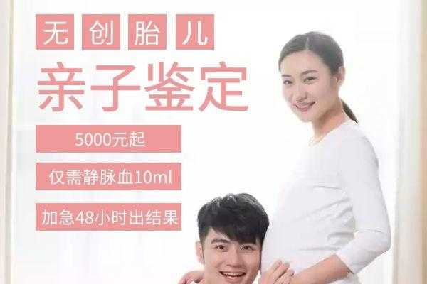 孕期亲子鉴定怎么做,孕妇静脉血验胎儿亲子鉴定准吗 第2张 孕期亲子鉴定怎么做,孕妇静脉血验胎儿亲子鉴定准吗 第2张