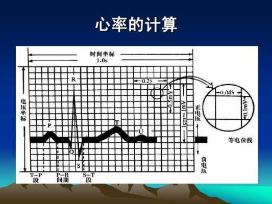 孕期心电图(孕妇心率多少算正常) 第2张 孕期心电图(孕妇心率多少算正常) 第2张