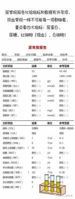 孕期尿液检查(公安尿检是什么意思) 第1张 孕期尿液检查(公安尿检是什么意思) 第1张