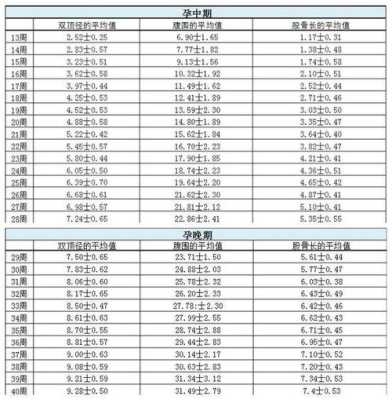 13周宝宝有多大,13周胎儿头臀径标准值 第1张 13周宝宝有多大,13周胎儿头臀径标准值 第1张