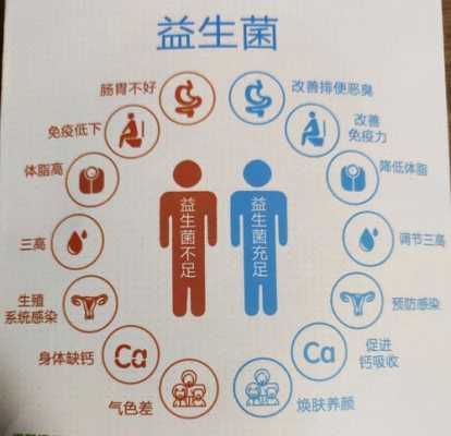 孕期补充益生菌(孕期补充益生菌的好处) 第2张 孕期补充益生菌(孕期补充益生菌的好处) 第2张