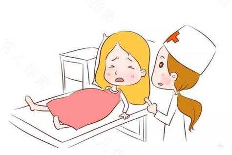 泰迪犬怀孕50天需要注意什么,孕期50天没有胎心胎芽是怎么回事 第1张 泰迪犬怀孕50天需要注意什么,孕期50天没有胎心胎芽是怎么回事 第1张