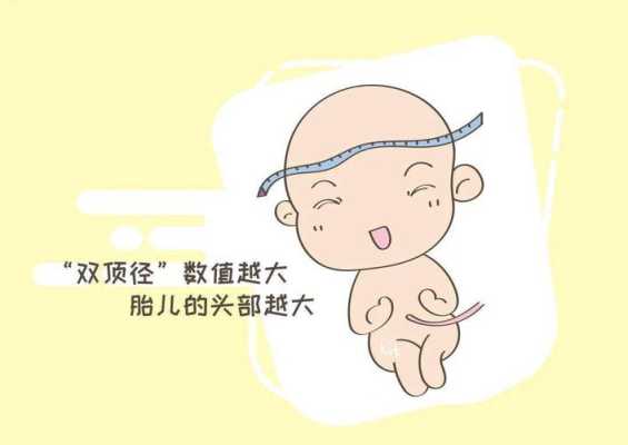 双顶径生长过快什么原因,胎儿双顶径偏大怎么办 第2张 双顶径生长过快什么原因,胎儿双顶径偏大怎么办 第2张