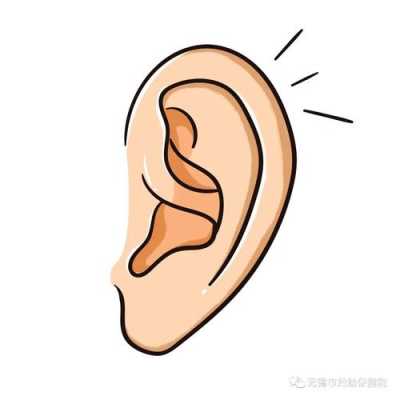 孕后期左耳耳鸣怎么回事?孕后期左耳耳鸣,是什么原因,孕期耳鸣严重怎么办 第2张 孕后期左耳耳鸣怎么回事?孕后期左耳耳鸣,是什么原因,孕期耳鸣严重怎么办 第2张