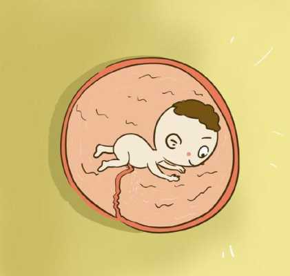 胎儿晚上动的厉害怎么回事(胎儿晚上动的频繁什么原因) 第3张 胎儿晚上动的厉害怎么回事(胎儿晚上动的频繁什么原因) 第3张