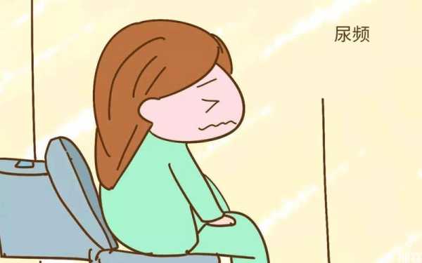 孕期多久尿频(怀孕多久会出现尿频的症状) 第2张 孕期多久尿频(怀孕多久会出现尿频的症状) 第2张