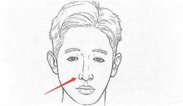 胎儿鼻骨长是鼻梁高吗(怎么判断婴儿是不是高鼻梁) 第2张 胎儿鼻骨长是鼻梁高吗(怎么判断婴儿是不是高鼻梁) 第2张
