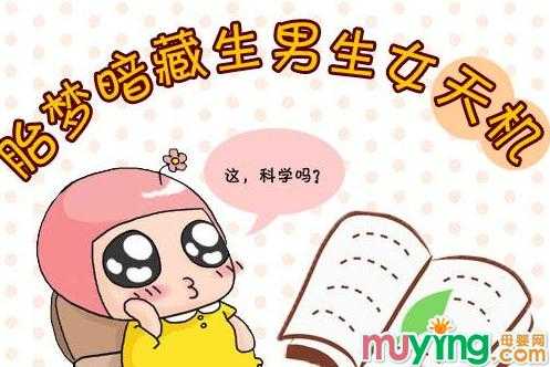 孕妇梦见胎儿长相(孕妇梦见胎儿长相) 第1张 孕妇梦见胎儿长相(孕妇梦见胎儿长相) 第1张
