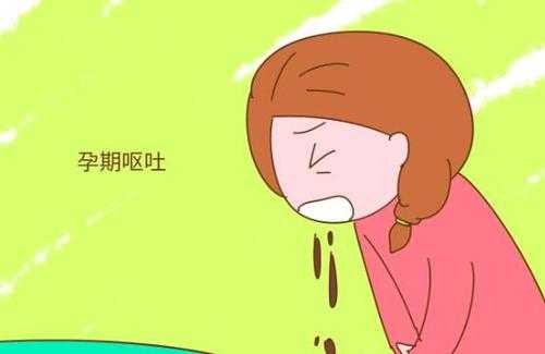 怀孕老恶心怎么办,整个孕期恶心没食欲 第2张 怀孕老恶心怎么办,整个孕期恶心没食欲 第2张