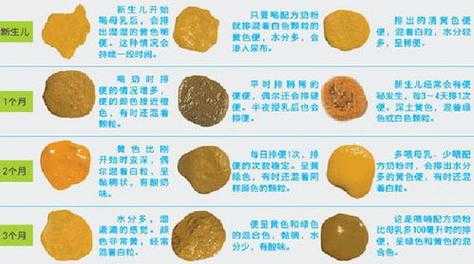 怀孕后大便次数多怎么回事,孕期总想大便怎么回事 第1张 怀孕后大便次数多怎么回事,孕期总想大便怎么回事 第1张