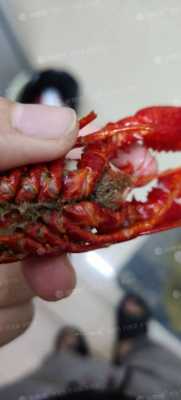 刚买的虾煮熟的虾有发霉的味道是怎么回事,霉味会导致胎儿畸形吗 第2张 刚买的虾煮熟的虾有发霉的味道是怎么回事,霉味会导致胎儿畸形吗 第2张