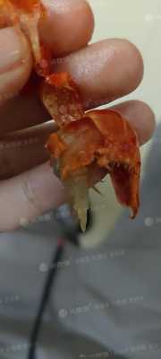 刚买的虾煮熟的虾有发霉的味道是怎么回事,霉味会导致胎儿畸形吗 第3张 刚买的虾煮熟的虾有发霉的味道是怎么回事,霉味会导致胎儿畸形吗 第3张