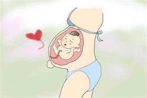 孕中期胎儿图(孕中期宝宝不怎么动) 第2张 孕中期胎儿图(孕中期宝宝不怎么动) 第2张
