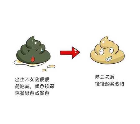 胎儿便便颜色(怀孕了大便一般什么颜色) 第1张 胎儿便便颜色(怀孕了大便一般什么颜色) 第1张
