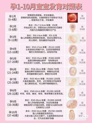 怎么计算孕期(怎么计算孕期周数) 第3张 怎么计算孕期(怎么计算孕期周数) 第3张