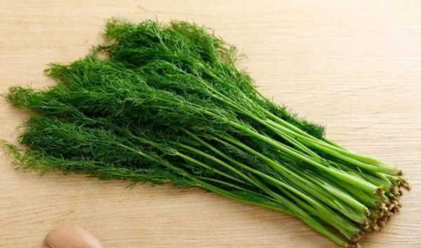 孕期爱吃青菜(孕期不爱吃青菜,长期这样会缺什么呢) 第3张 孕期爱吃青菜(孕期不爱吃青菜,长期这样会缺什么呢) 第3张