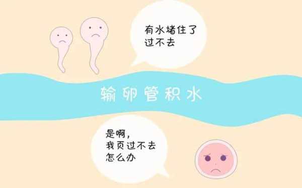 孕期积液增多(水量大的原因是什么) 第3张 孕期积液增多(水量大的原因是什么) 第3张