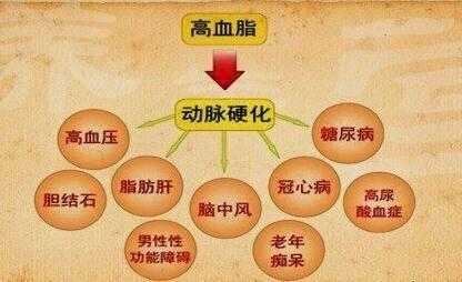 孕期 高血脂(孕期高血脂症对胎儿的影响) 第1张 孕期 高血脂(孕期高血脂症对胎儿的影响) 第1张