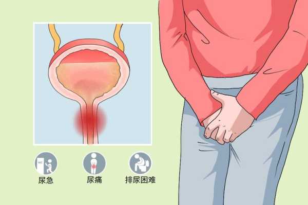 宝宝尿道感染的症状是什么,胎儿尿道的作用是什么 第3张 宝宝尿道感染的症状是什么,胎儿尿道的作用是什么 第3张