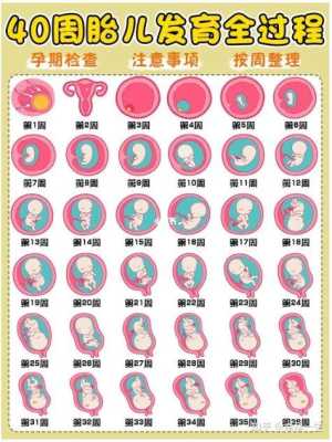 怀孕2个月了一直“见红”,影响胎儿吗,孕期反复流血怎么回事 第2张 怀孕2个月了一直“见红”,影响胎儿吗,孕期反复流血怎么回事 第2张