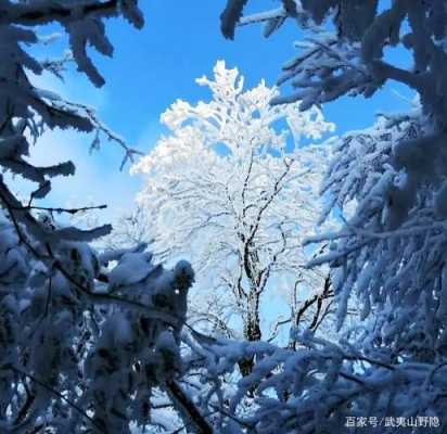 大雪的寓意和象征,孕期梦到下雪是什么意思 第1张 大雪的寓意和象征,孕期梦到下雪是什么意思 第1张