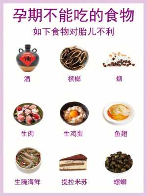 胎儿怎么吃食物(胎儿怎么吃食物) 第2张 胎儿怎么吃食物(胎儿怎么吃食物) 第2张