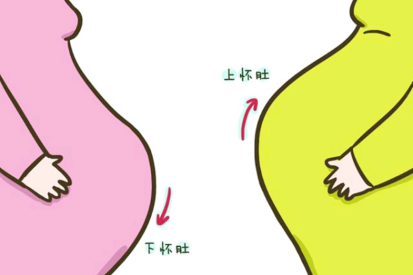 下怀胎儿图(下怀胎儿图片真实) 第2张 下怀胎儿图(下怀胎儿图片真实) 第2张