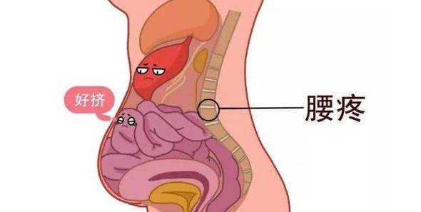 胎儿蠕动在干嘛(胎儿在肚子里连续抖动的是怎么回事啊?有些担心的) 第3张 胎儿蠕动在干嘛(胎儿在肚子里连续抖动的是怎么回事啊?有些担心的) 第3张