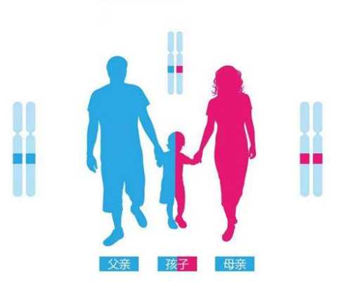 乌鲁木齐基因格亲子鉴定中心是不是假的,乌鲁木齐胎儿亲子鉴定费用 第3张 乌鲁木齐基因格亲子鉴定中心是不是假的,乌鲁木齐胎儿亲子鉴定费用 第3张