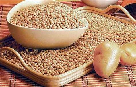 孕妇吃什么豆类最好,孕期吃黄豆的好处 第1张 孕妇吃什么豆类最好,孕期吃黄豆的好处 第1张