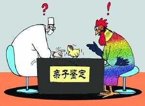 胎儿dna亲子鉴定方法(如何做dna亲子鉴定) 第2张 胎儿dna亲子鉴定方法(如何做dna亲子鉴定) 第2张