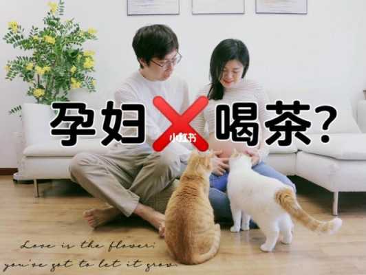 孕期不能喝茶(怀孕期间能喝茶吗) 第2张 孕期不能喝茶(怀孕期间能喝茶吗) 第2张